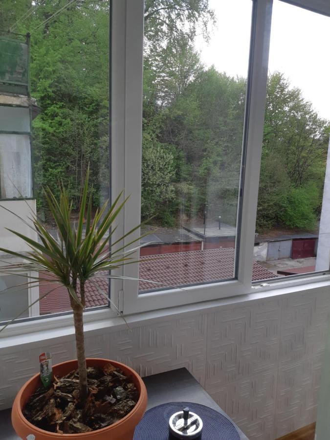 Florin Apartament Sighişoara Eksteriør bilde